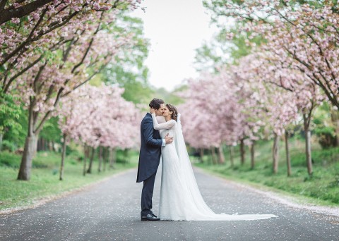 Hochzeitsfotograf Köln Braut & Bräutigam Paarhooting Kirschbäume